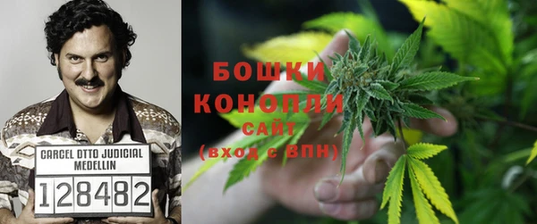 прущая мука Корсаков