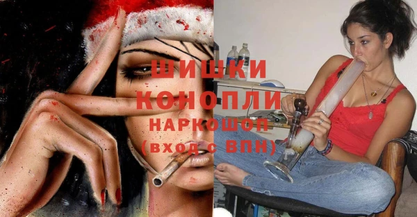 молекула духа Козловка