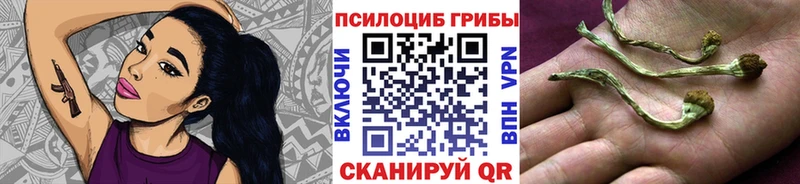 Псилоцибиновые грибы GOLDEN TEACHER  Курлово 